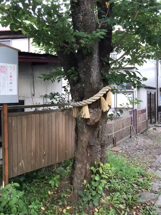 小室浅間神社の自然