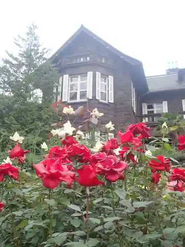 駒込妙義神社(東京都)