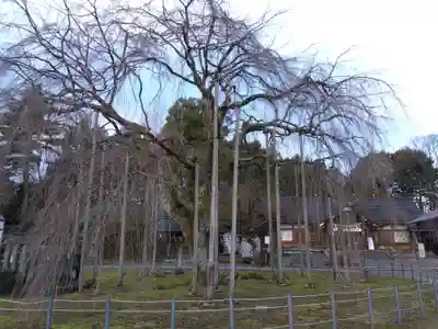 足羽神社(福井県)