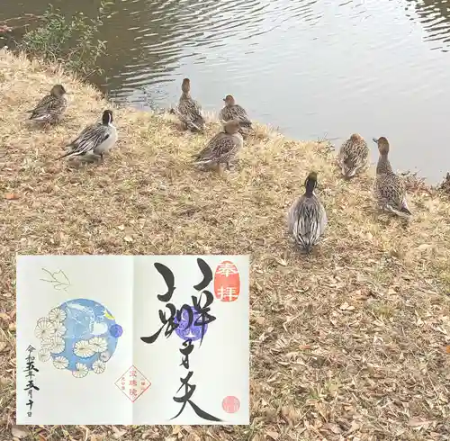 増上寺塔頭 三縁山 宝珠院の動物