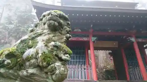 氷室神社の狛犬