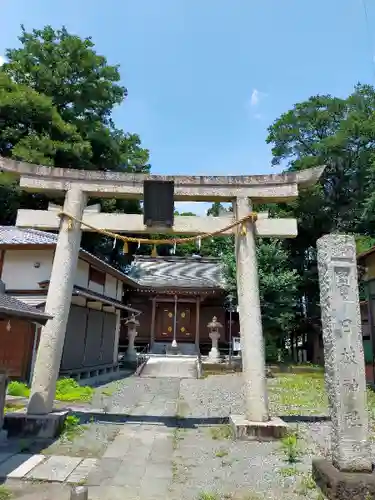 日枝神社の鳥居