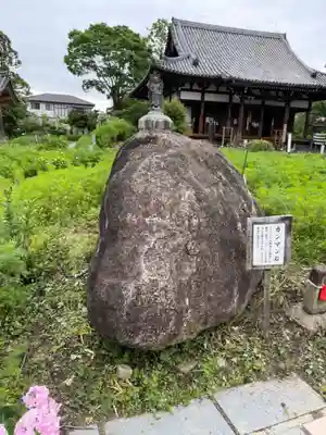 般若寺 ❁﻿コスモス寺❁(奈良県)