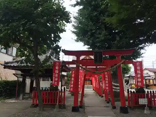 於菊稲荷神社の鳥居