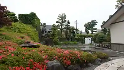 梅蔭寺(静岡県)