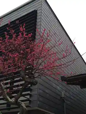 久里浜天神社(神奈川県)