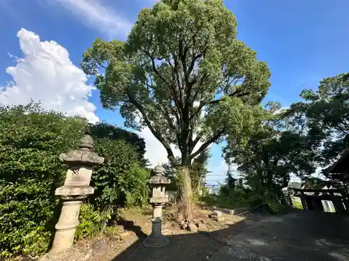 植槻八幡神社(奈良県)