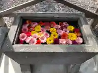 宝林寺の手水舎