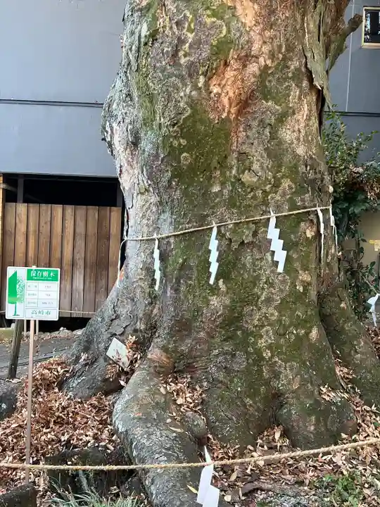 山名八幡宮(群馬県)
