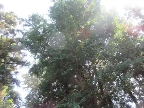 網戸神社(栃木県)