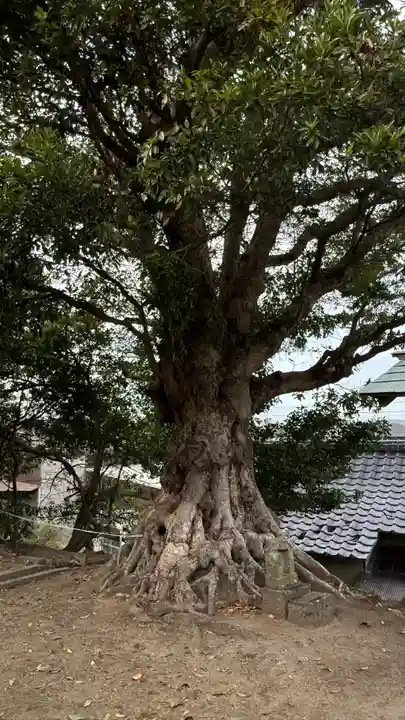 大聖寺(波切不動尊)(千葉県)