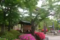 開成山大神宮の鳥居