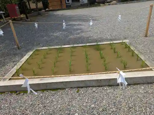 美濃國一宮　南宮大社(岐阜県)