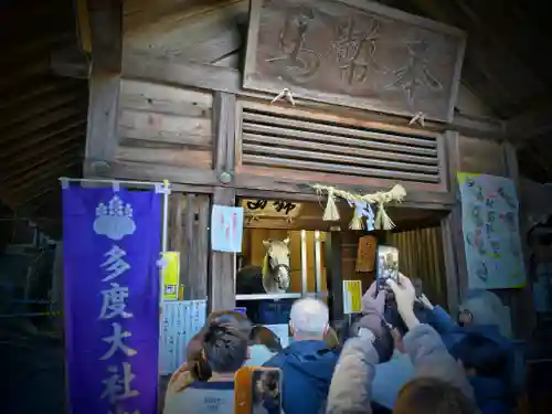 多度大社の動物