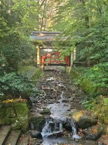 彌彦神社(新潟県)