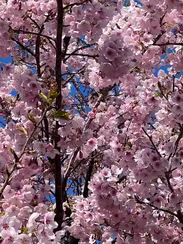 遠見岬神社(千葉県)