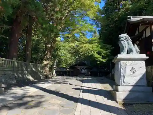 諏訪大社下社春宮の狛犬