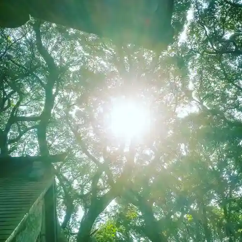 沼尾神社の自然