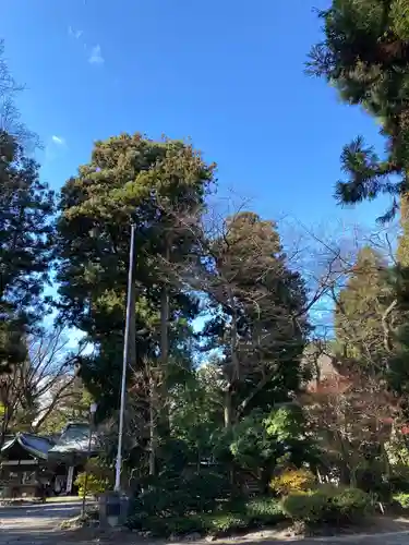 駒形神社の庭園