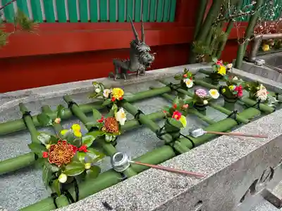 神田神社（神田明神）の手水舎