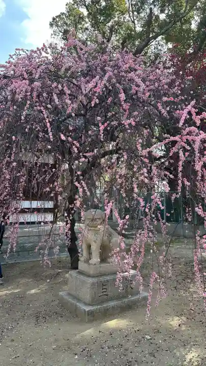 屯倉神社の{uncategorized: "未分類", other: "その他", undefined: "問題あり", building: "その他建物", grave: "お墓", sacred_gate: "鳥居", guardian: "狛犬", statue: "像", buddha: "仏像", history: "歴史", nature: "自然", garden: "庭園", animal: "動物", pagoda: "塔", temizu: "手水舎", mountain_gate: "山門・神門", sanctuary: "本殿・本堂", subordinate: "末社・摂社", art: "芸術", scenery: "景色", jizo: "地蔵", ema: "絵馬", goshuin: "御朱印", omikuji: "おみくじ", items: "授与品その他", amulet: "お守り", goshuincho: "御朱印帳", eats: "食事", festival: "お祭り", votive_dance: "神楽", shichigosan: "七五三参", wedding: "結婚式", experience: "体験その他", initially: "初詣", around: "周辺", anti_infection: "感染症対策"}