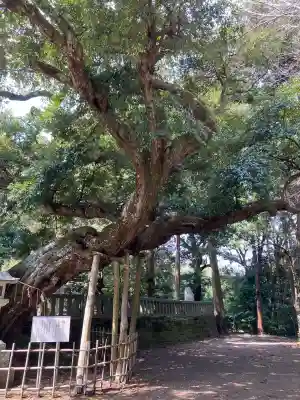 莫越山神社の{uncategorized: "未分類", other: "その他", undefined: "問題あり", building: "その他建物", grave: "お墓", sacred_gate: "鳥居", guardian: "狛犬", statue: "像", buddha: "仏像", history: "歴史", nature: "自然", garden: "庭園", animal: "動物", pagoda: "塔", temizu: "手水舎", mountain_gate: "山門・神門", sanctuary: "本殿・本堂", subordinate: "末社・摂社", art: "芸術", scenery: "景色", jizo: "地蔵", ema: "絵馬", goshuin: "御朱印", omikuji: "おみくじ", items: "授与品その他", amulet: "お守り", goshuincho: "御朱印帳", eats: "食事", festival: "お祭り", votive_dance: "神楽", shichigosan: "七五三参", wedding: "結婚式", experience: "体験その他", initially: "初詣", around: "周辺", anti_infection: "感染症対策"}