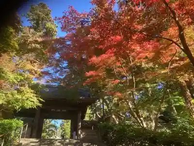 円覚寺(神奈川県)