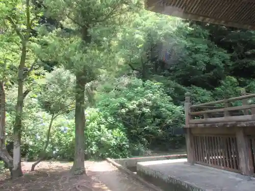 妙本寺の庭園