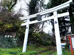 白髭神社の鳥居