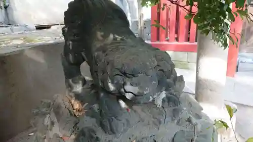 富岡八幡宮の狛犬