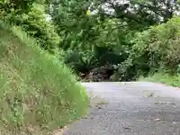 寺院(名称不明)の動物