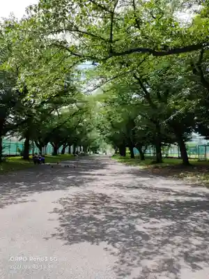 隅田川神社(東京都)