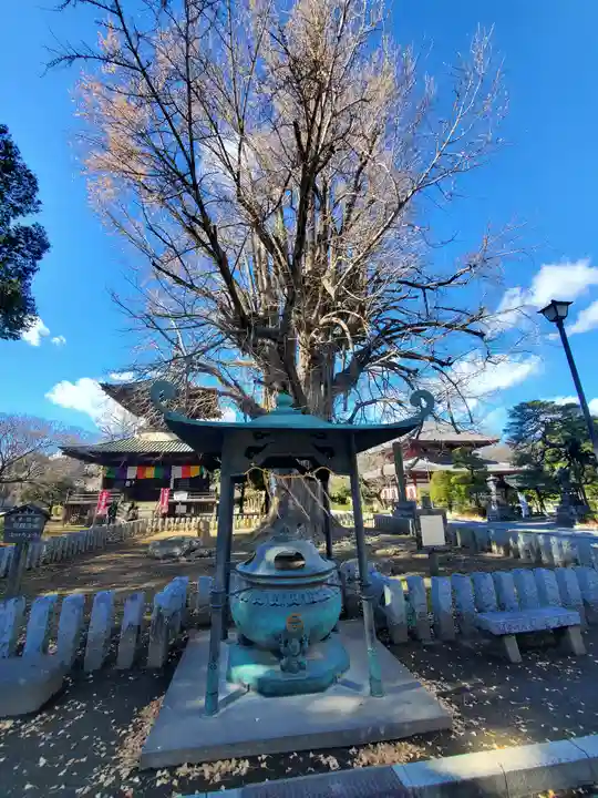 鑁阿寺(栃木県)