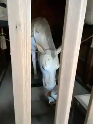 高砂神社(兵庫県)