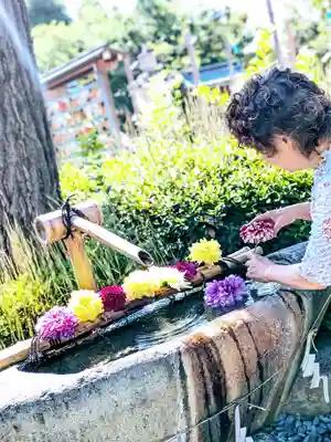 伊和志津神社(兵庫県)
