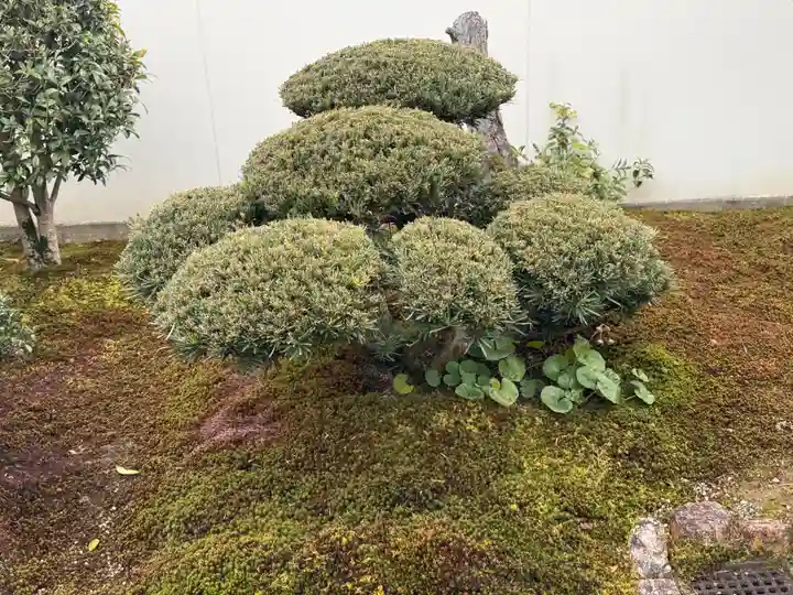 西方山極楽寺(岐阜県)