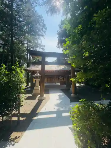 國學院大學神殿(東京都)