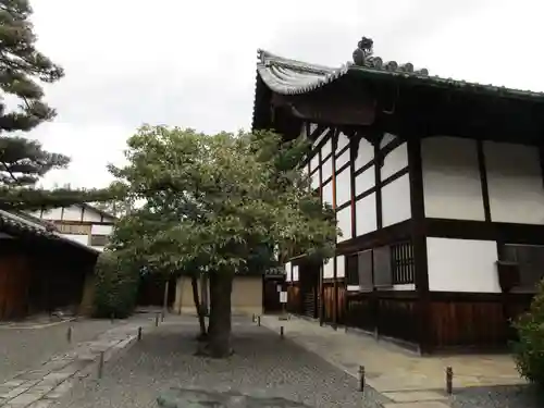 大徳寺(京都府)
