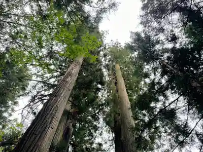 鹿島大神宮(福島県)