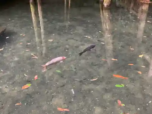 鹿島神宮(茨城県)