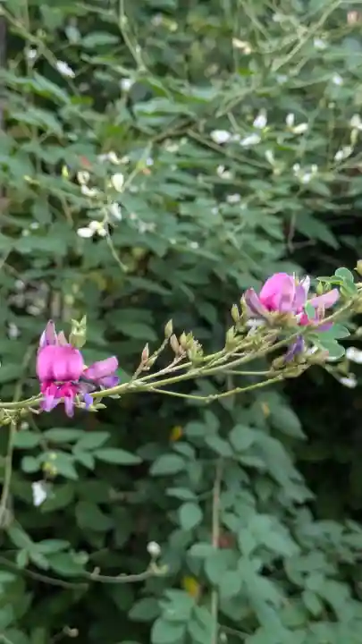 梨木神社(京都府)