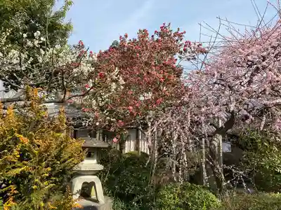 石光寺(奈良県)