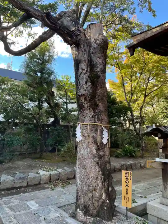 大将軍八神社(京都府)
