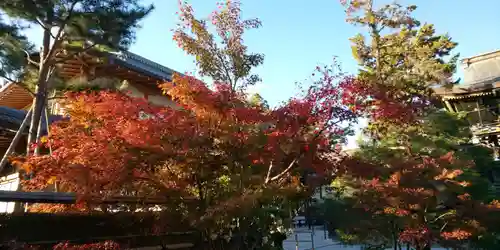北野天満宮の自然