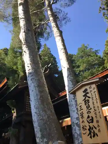 諏訪大社下社秋宮の自然