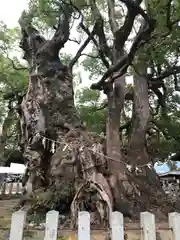 宇美八幡宮(福岡県)