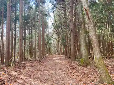 戸隠神社宝光社(長野県)