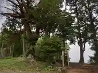 高草山大権現のその他建物