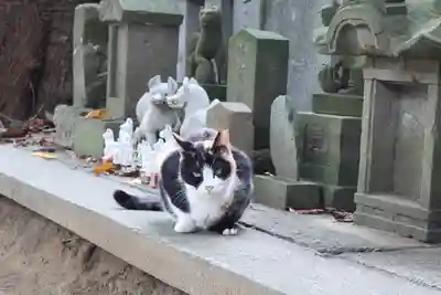 柏諏訪神社(千葉県)