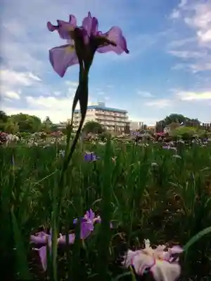 妙法寺(東京都)